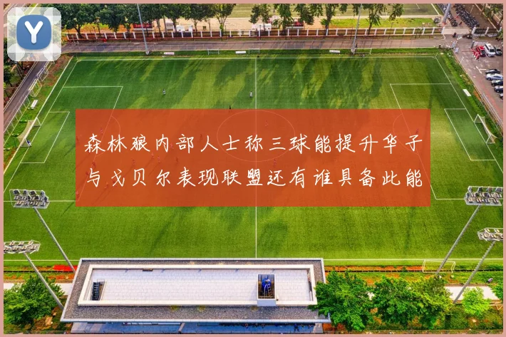 森林狼内部人士称三球能提升华子与戈贝尔表现联盟还有谁具备此能力