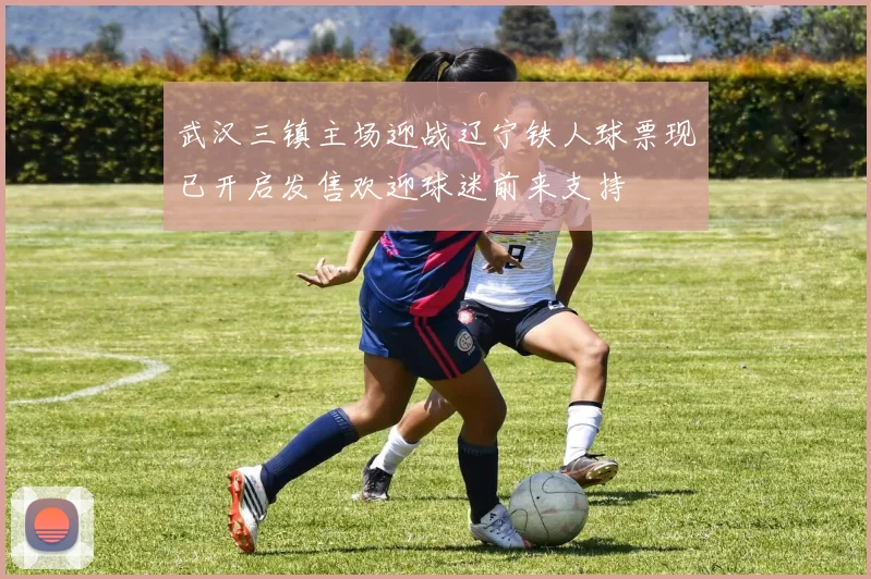 武汉三镇主场迎战辽宁铁人球票现已开启发售欢迎球迷前来支持